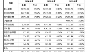 兆芯集成：低毛利率与高研发投入拖累盈利表现 研发费用结构异于同业是否合理？
