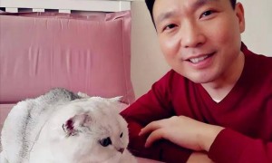 康辉：我高考分数远超清北，却被人暗中顶替，依靠父亲查明真相！