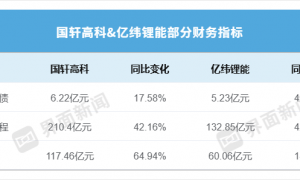 一家净利激增5倍、一家反降一成,国轩高科和亿纬锂能业绩为何悬殊?